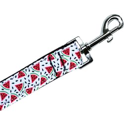 Watermelon Nylon Pet Leash 3/8in by 6ft